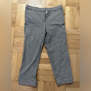 Loft dress pants size 12 curvy fit
